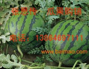 潍坊新瓜最新爆料,揭秘背后惊人真相